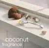 ⁦Gillette Venus Olay Coconut Handle + 2 Blades | جيليت فينوس شفرة حلاقة للنساء مع رأسين للتبديل⁩ - الصورة ⁦2⁩