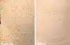 ⁦Anua Heartleaf 77% Clear Pad - 160ml | أنوا وسادات التونر المائية بمستخلص نبات القلب77% - 160 مل⁩ - الصورة ⁦3⁩