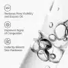 ⁦The Ordinary Niacinamide 10% + Zinc 1% - 30ml | ذا اورديناري سيروم نياسيناميد 10% + زنك 1% - 30 مل⁩ - الصورة ⁦2⁩
